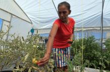 Migrantes varados en México