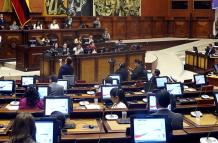 El Pleno de la Asamblea Nacional elegirá a su primer vicepresidente el martes 8 de octubre de 2024.