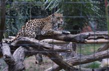 Zoológico de Guayllabamba