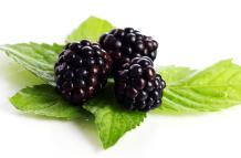 Frutas que estimulan la producción de colágeno