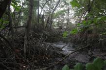 MANGLAR