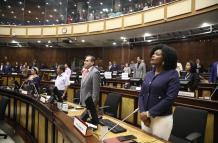 PLENO ASAMBLEA NACIONAL SEGUNDA LEY ENERGETICA