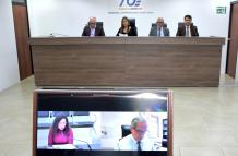 SESION PLENO TCE