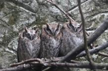 Lugares en Cuenca que despiertan tu vena aventurera