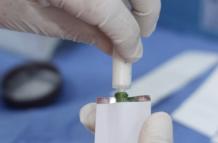 ONG reduce la transmisión del virus del VIHDA