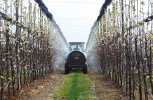 investigacion agroquimicos