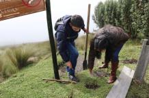 Reforestación Quito