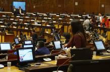 Sesión. Garzón dio a conocer cómo será el trabajo, los plazos y los convocados a la Comisión ocasional.