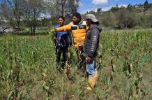 Sequia Cotopaxi