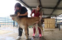 Carrera de Veterinaria impulsa la sostenibilidad alimentaria