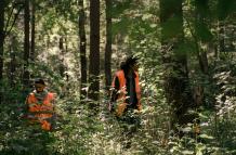 ONG Jocotoco conserva especies y ecosistemas abandonados