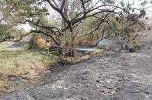 Incendio Narcisa