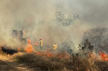 INCENDIO FORESTAL