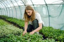 ONG conserva la biodiversidad