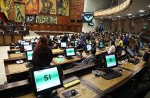 pleno_incendios nov 2024