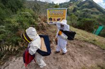 Mundo, Perú, Desafían el cambio climático con fondos que dividen a la COP29
