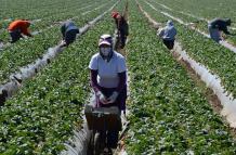 Mundo, Estados Unidos, La expulsión de migrantes
