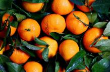 naranjas