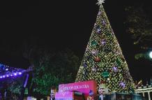 Árbol de Guayaquil Malecón 2000