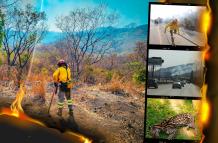 incendio Cerro Azul tigrillo