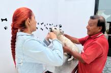 ONG rescata y esteriliza animales
