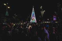 ARBOL EN SAMANES