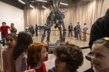 El fósil de dinosaurio más caro