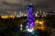 árbol de navidad en el jardín botánico