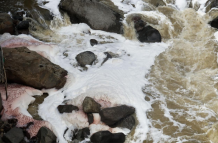 Río Machángara