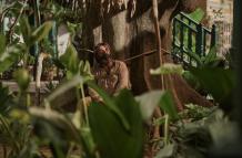 'Cien años de soledad' llega como serie a las pantallas
