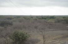 Santa Elena