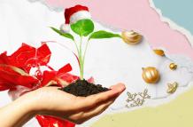 Navidad+reciclaje+empresas+residuos
