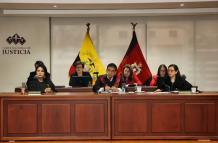 Corte Nacional de Justicia-Pleno de José Suing