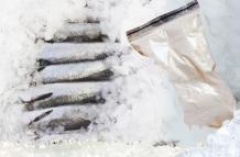 Pescado congelado con cocaina