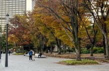 Mundo, Japón, El sistema nacional de alertas