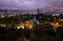 árbol de navidad  gigante