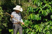 ONG empodera el conocimiento ancestral