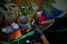 El curandero ecuatoriano Ismael mezcla hierbas para un ritual para recibir el nuevo año 2025 este martes 31 de diciembre, en un local de curanderos en Quito (Ecuador).