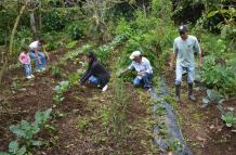Comunidad impulsa el desarrollo sostenible