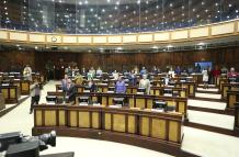 Pleno de la Asamblea licencias