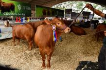 FERIA GANADERA 2024