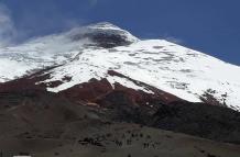 Turismo en cifras