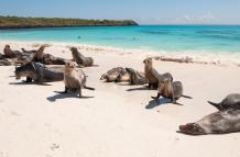 galápagos