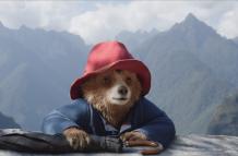Paddignton en Perú