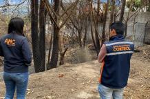 Imagen referencial. Funcionarios de la AMC inspeccionaron el predio, tras la denuncia de un crematorio clandestino de mascotas.