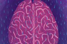 cerebro