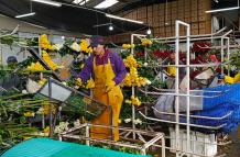 expoertacion flores