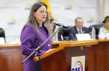 La vocal del CNE, Elena Nájera, cuestiona a Enrique Pita sobre los supuestos expedientes.