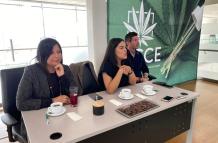 Cannabis+canamo+industria