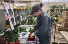 Cosecha de flores+San Valentín 2025